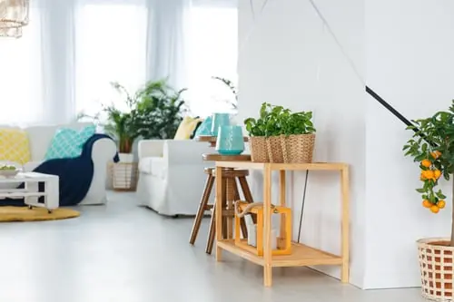 The Airbnb Turnover That Protects Your Rating