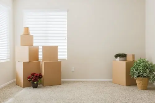 The Deep Clean Checklist: What a Regular Visit Never Touches