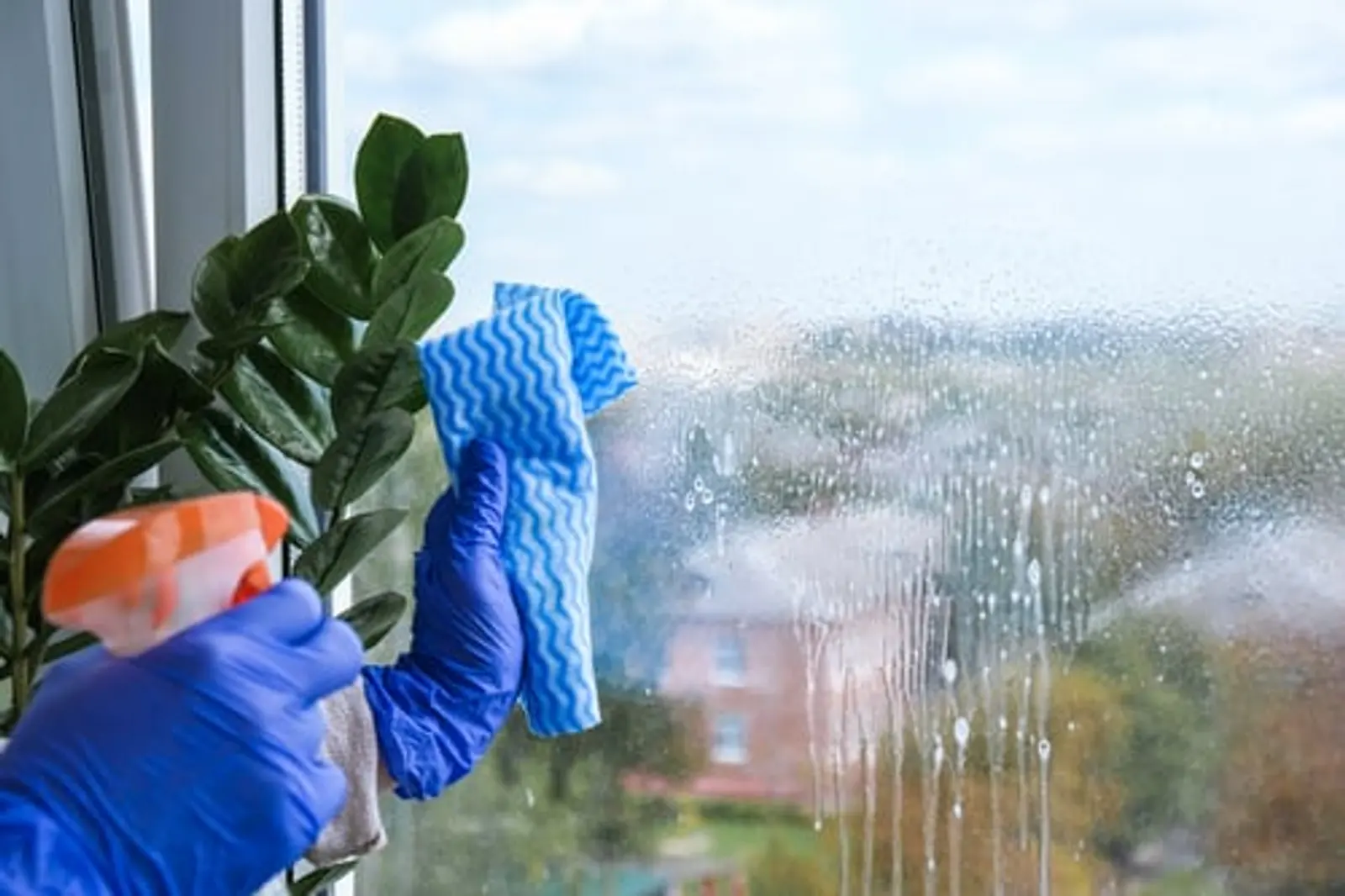 Insights from Flores Pro-Cleaning LLC