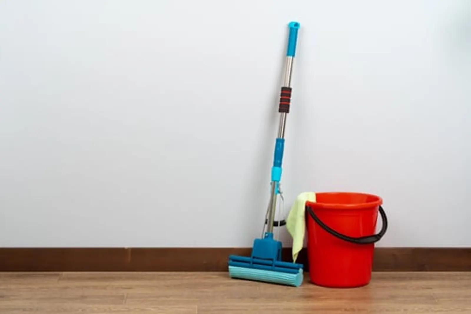 Flores Pro-Cleaning LLC services